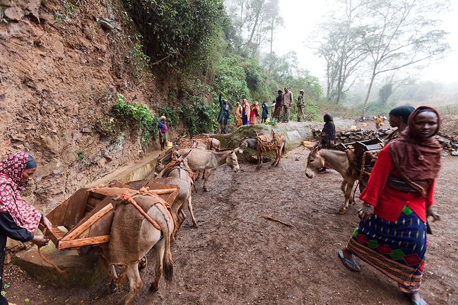  Borana singing wells   Kenia